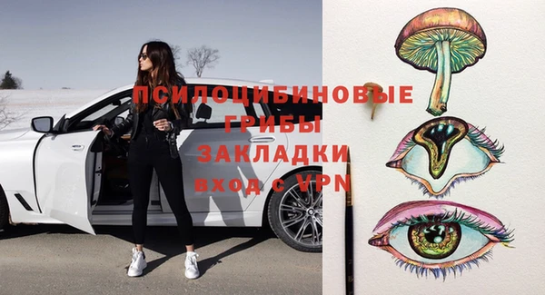 тгк Краснослободск