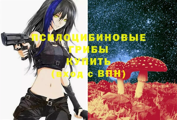 МДПВ Красноперекопск